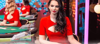 ziatogel